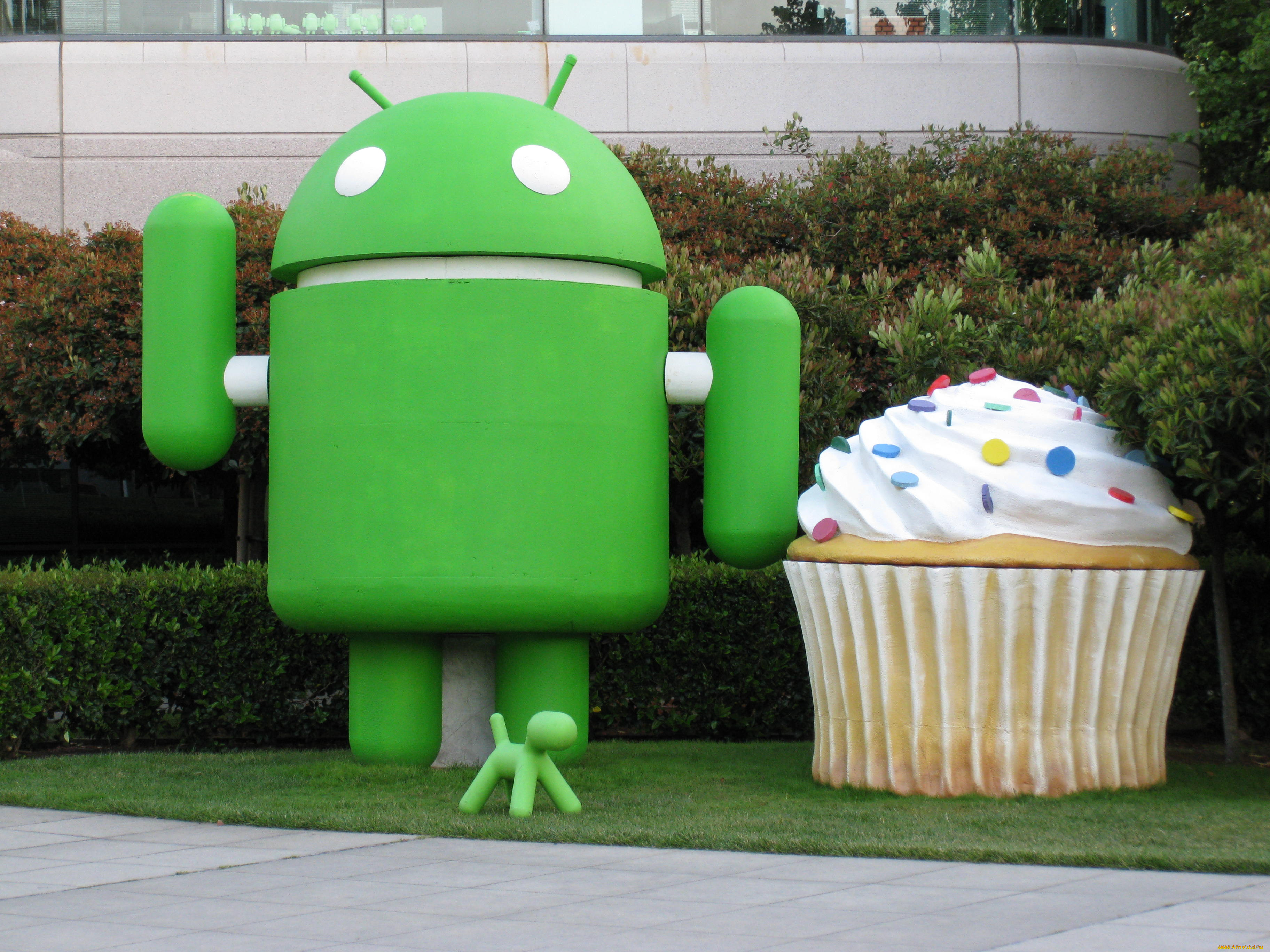 , android